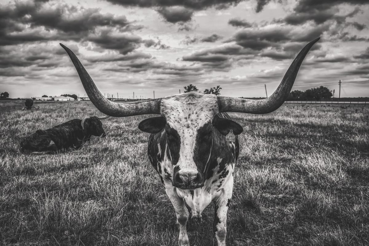 Rancher Longhorn 1.0.0